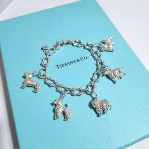 Tiffany Co. Jewelry Rare Vintage Tiffany Co Multi Breed Dog Charm Bone Link Silver Bracelet 775 Poshmark